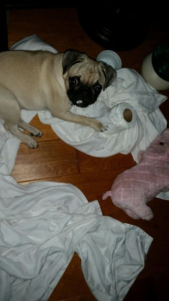 morning picdump 54 pics 21.html - 54 HD Photos | Premium Gallery 2014