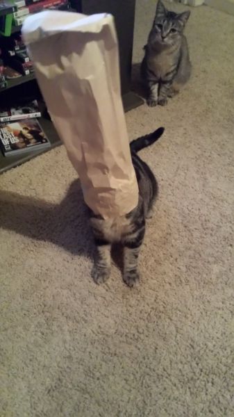 morning picdump 54 pics 21.html - 54 HD Photos | Premium Gallery 2014