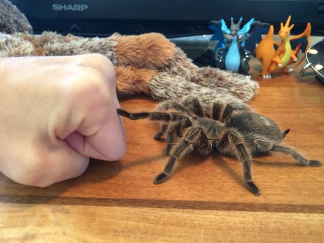 morning picdump 54 pics 21.html - 54 HD Photos | Premium Gallery 2014