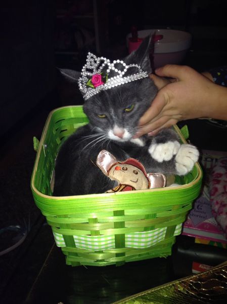 morning picdump 54 pics 21.html - 54 HD Photos | Premium Gallery 2014