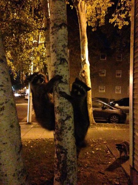 morning picdump 54 pics 21.html - 54 HD Photos | Premium Gallery 2014