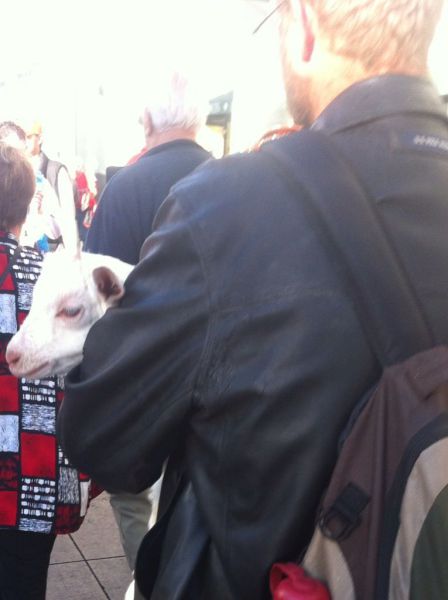 morning picdump 54 pics 21.html - 54 HD Photos | Premium Gallery 2014