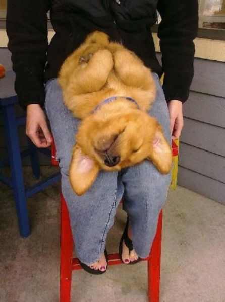 morning picdump 54 pics 21.html - 54 HD Photos | Premium Gallery 2014