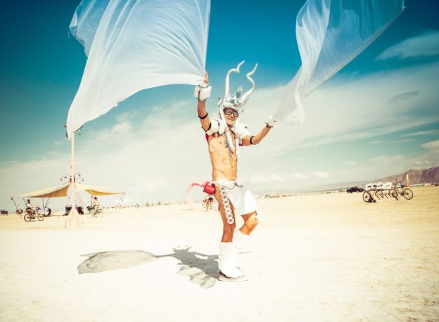 Amazing Photos of the Festival Fun at Burning Man 2014