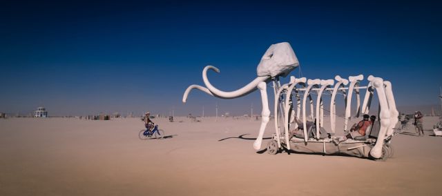 amazing photos of the festival fun at burning 172 pics 2.html - 172 HD Photos | Premium Gallery 2014