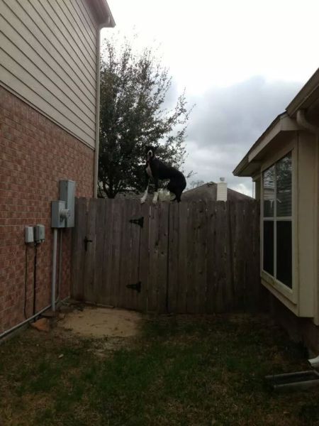 morning picdump 56 pics 22.html - 56 HD Photos | Premium Gallery 2014