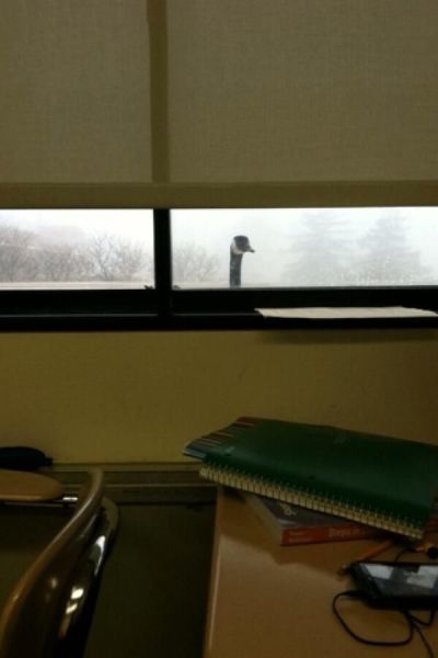 morning picdump 56 pics 22.html - 56 HD Photos | Premium Gallery 2014