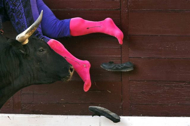 morning picdump 56 pics 22.html - 56 HD Photos | Premium Gallery 2014