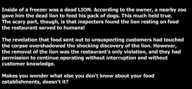 A Gross and Shocking Discovery inside Restaurant’s Freezer