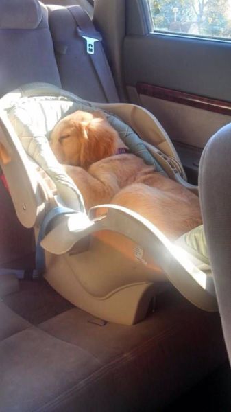 morning picdump 58 pics 4.html - 58 HD Photos | Premium Gallery 2014