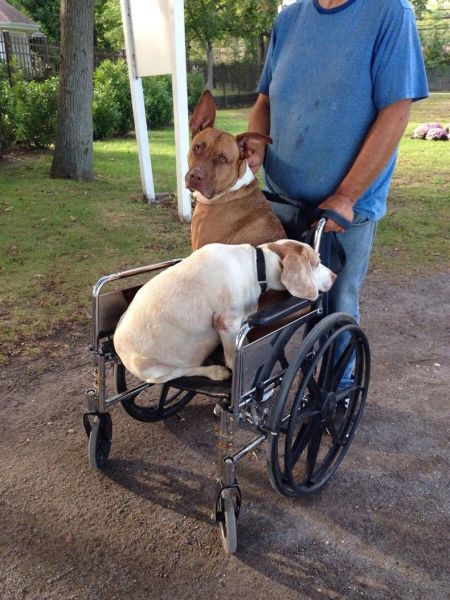 morning picdump 58 pics 4.html - 58 HD Photos | Premium Gallery 2014