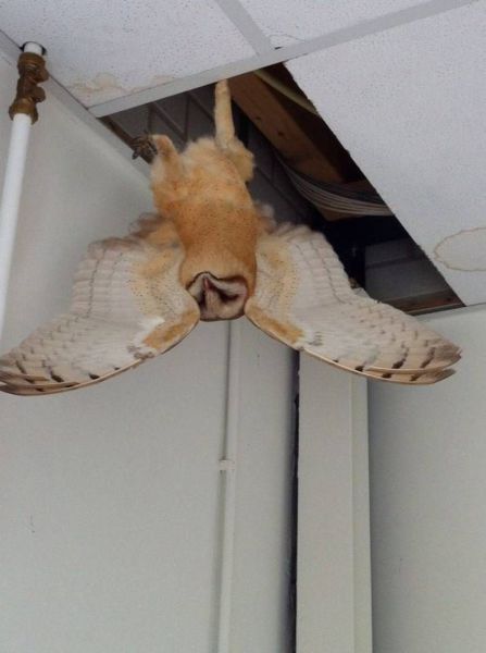 morning picdump 58 pics 4.html - 58 HD Photos | Premium Gallery 2014
