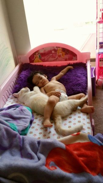 morning picdump 58 pics 4.html - 58 HD Photos | Premium Gallery 2014