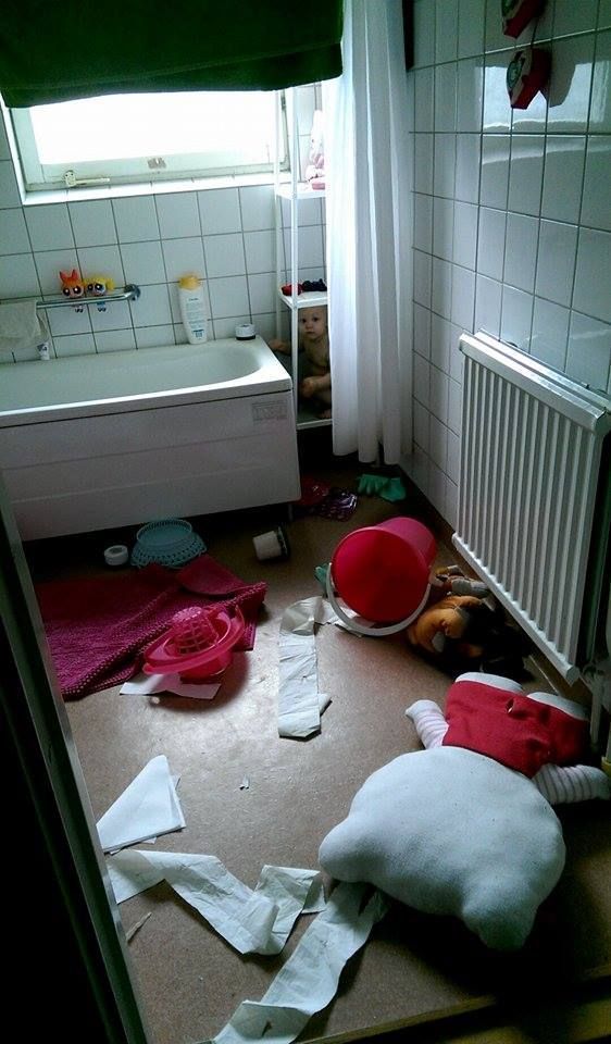 Morning Picdump