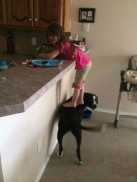 morning picdump 52 pics 24.html - 52 HD Photos | Premium Gallery 2014