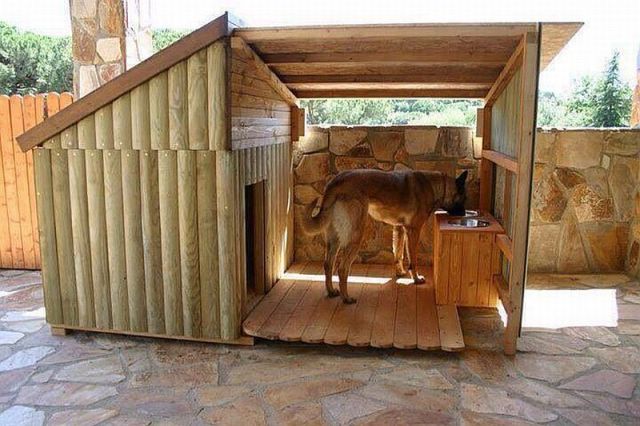 morning picdump 52 pics 24.html - 52 HD Photos | Premium Gallery 2014