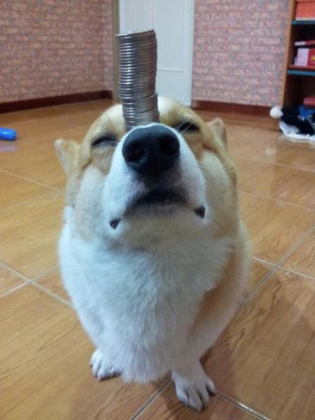 Morning Picdump