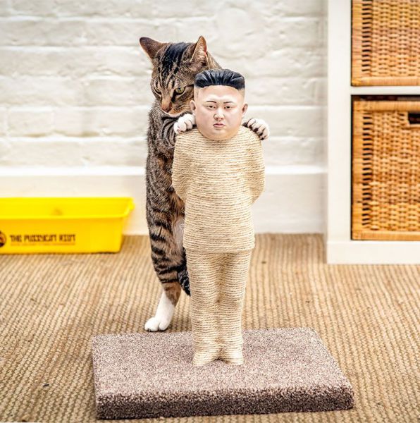 Morning Picdump