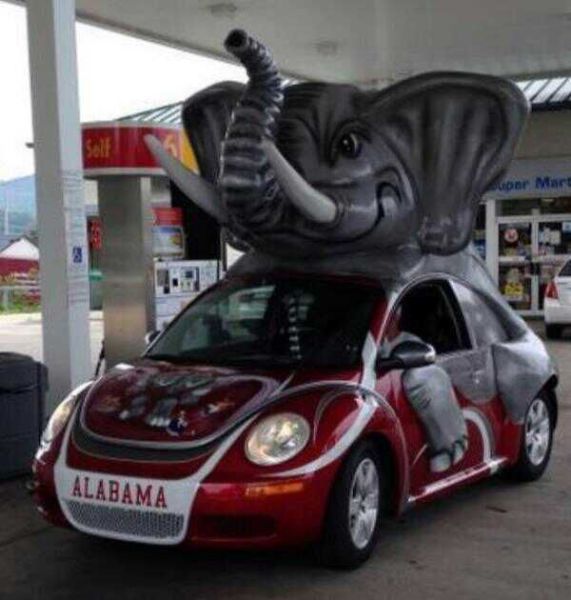 Morning Picdump