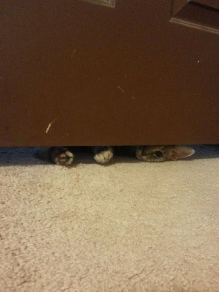 morning picdump 53 pics 2.html - 53 HD Photos | Premium Gallery 2014