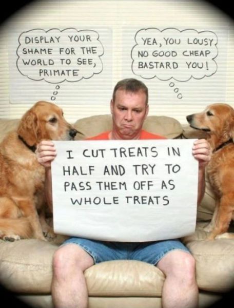 morning picdump 53 pics 2.html - 53 HD Photos | Premium Gallery 2014