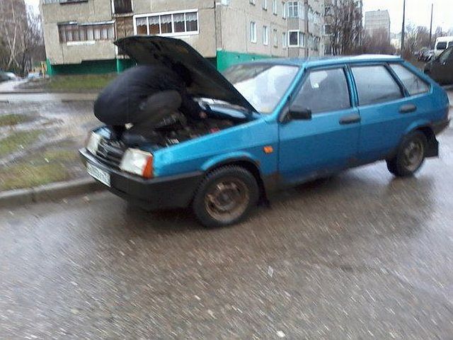 morning picdump 53 pics 2.html - 53 HD Photos | Premium Gallery 2014