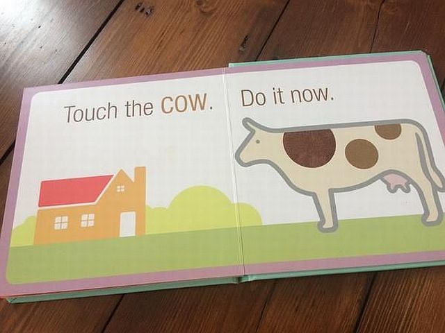 Funny Picdump