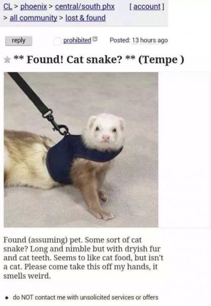 funny picdump 51 pics 7.html - 51 HD Photos | Premium Gallery 2014
