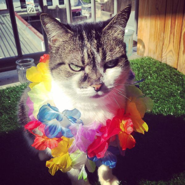 Morning Picdump