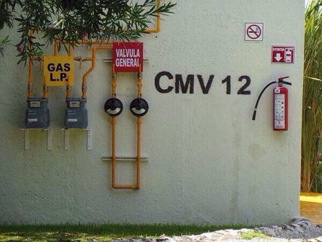 morning picdump 56 pics 2.html - 56 HD Photos | Premium Gallery 2014