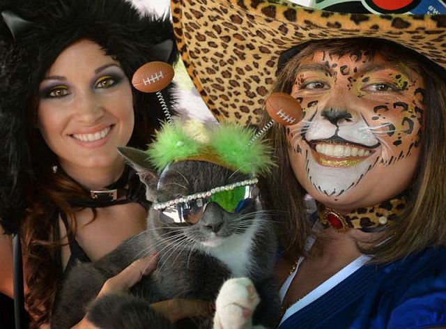 morning picdump 56 pics 2.html - 56 HD Photos | Premium Gallery 2014