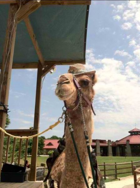 morning picdump 56 pics 2.html - 56 HD Photos | Premium Gallery 2014