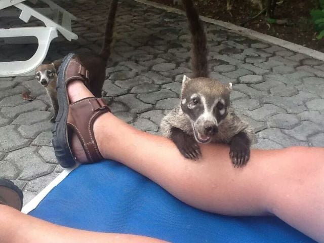 daily picdump 106 pics 12.html - 106 HD Photos | Premium Gallery 2014