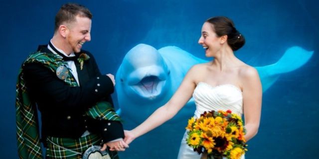 daily picdump 106 pics 12.html - 106 HD Photos | Premium Gallery 2014