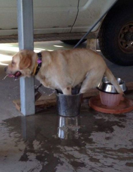 daily picdump 106 pics 12.html - 106 HD Photos | Premium Gallery 2014