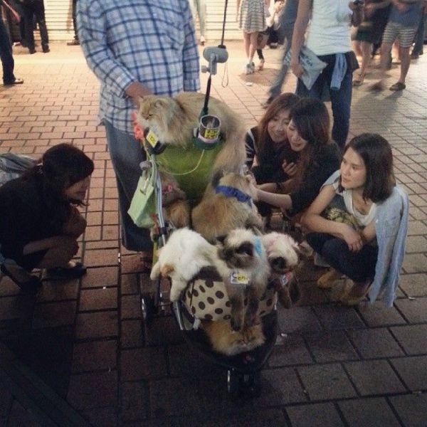 daily picdump 106 pics 12.html - 106 HD Photos | Premium Gallery 2014