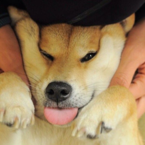 daily picdump 106 pics 12.html - 106 HD Photos | Premium Gallery 2014