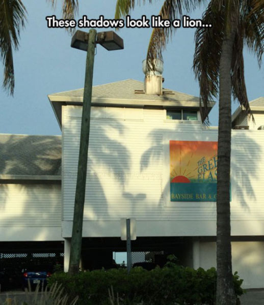 Just Wait Until You See It…