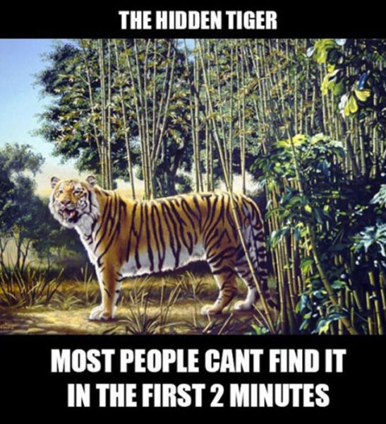 Just Wait Until You See It…