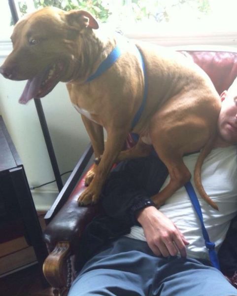 morning picdump 54 pics 15.html - 54 HD Photos | Premium Gallery 2014