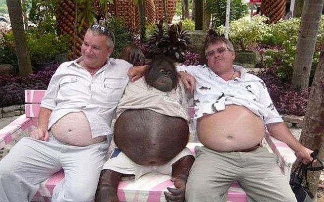 morning picdump 54 pics 15.html - 54 HD Photos | Premium Gallery 2014