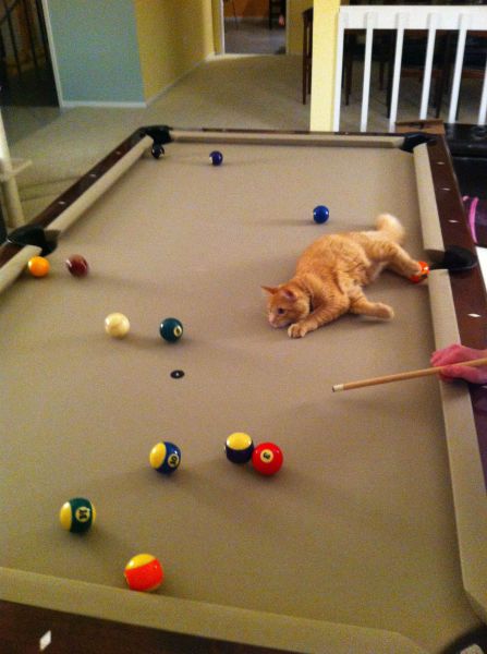 morning picdump 56 pics 25.html - 56 HD Photos | Premium Gallery 2014