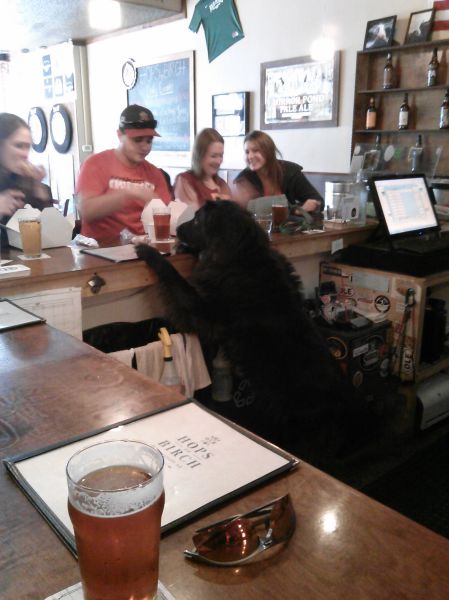 morning picdump 56 pics 25.html - 56 HD Photos | Premium Gallery 2014