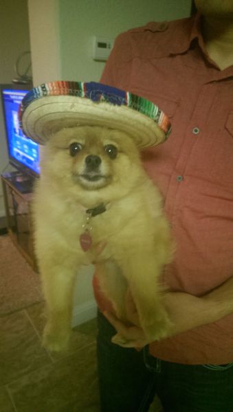 morning picdump 56 pics 25.html - 56 HD Photos | Premium Gallery 2014