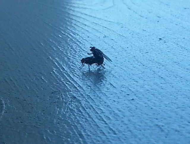 morning picdump 55 pics 4.html - 55 HD Photos | Premium Gallery 2014