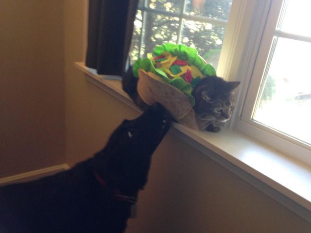 daily picdump 96 pics 48.html - 96 HD Photos | Premium Gallery 2014