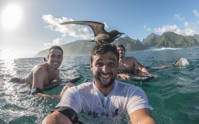 daily picdump 96 pics 48.html - 96 HD Photos | Premium Gallery 2014