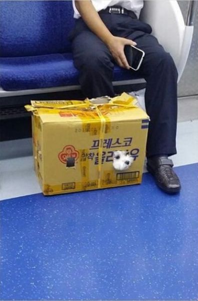 daily picdump 96 pics 48.html - 96 HD Photos | Premium Gallery 2014