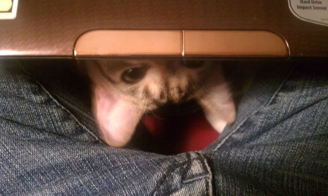 morning picdump 53 pics 3.html - 53 HD Photos | Premium Gallery 2014