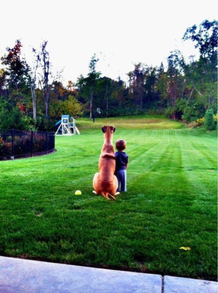 morning picdump 55 pics 1.html - 55 HD Photos | Premium Gallery 2014